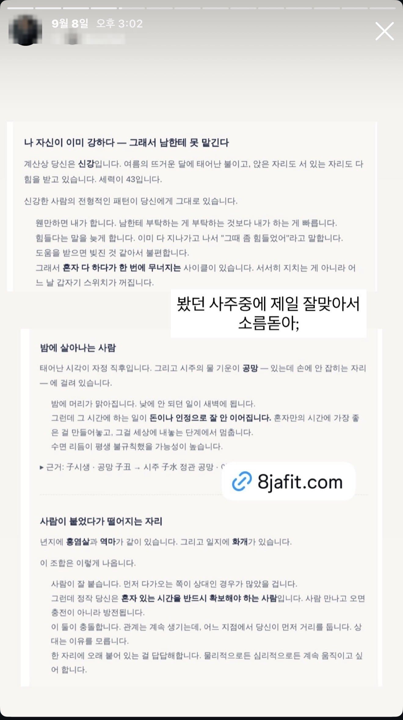 후기 14 — 인스타 스토리 · 프리미엄 리포트 (신강·시주)