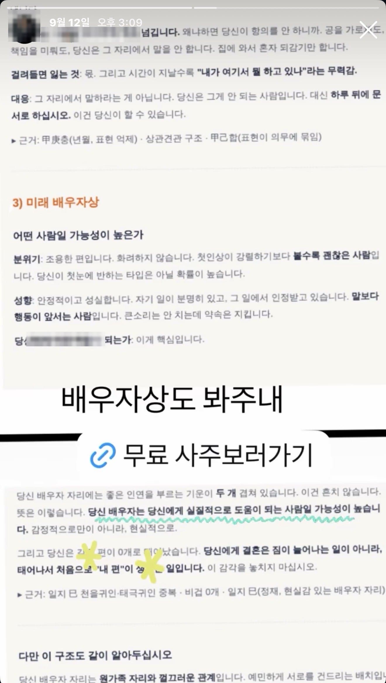 후기 7 — 인스타 스토리 · 프리미엄 리포트 (배우자상)