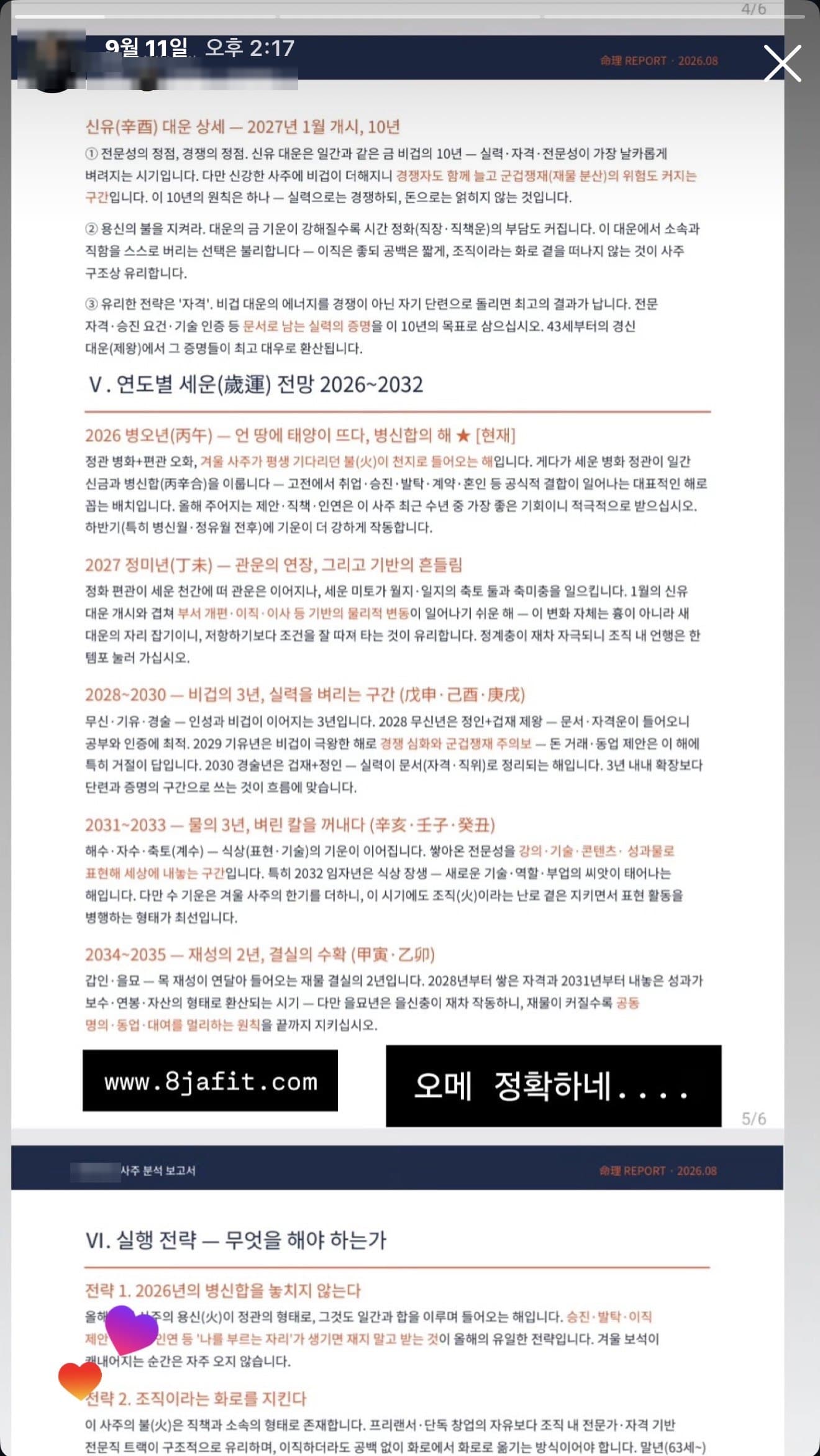 후기 9 — 인스타 스토리 · 프리미엄 리포트 (10년·연도별)
